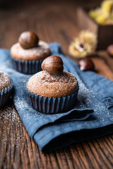 Fototapeta na wymiar Muffins made from sweet chestnut puree and cocoa, topped with peeled and baked chestnut, dusted with powdered sugar