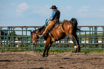 Rodeo Bronco Riding in Canada