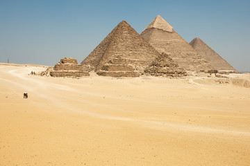 Horse drawn carts near Giza pyramids