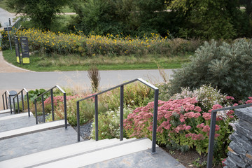 Autumn comes once more. The leaves of the trees imperceptibly mark with their presence the end of summer.