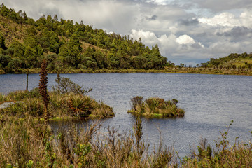 Panoramic view of the Laguna Verde, a natural lake at the Teatinos paramo, in the highlands of the Andean mountains of central Colombia.