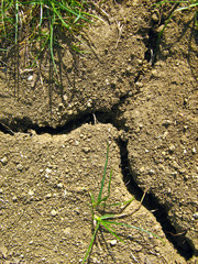 Drought in the countryside in summer afternoon