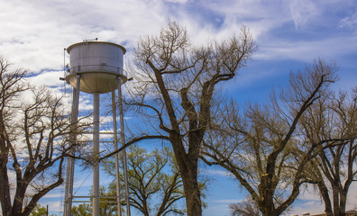 Water Tower Behind Springtime Trees