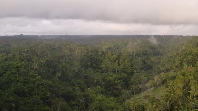Aerial of jungle rain forest at sunset in Bali
