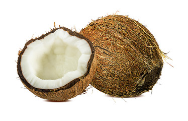 coconuts isolated on the white background