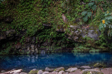 Poco Azul waterfall (blue well) in a subtropical forest with on the bottom an azure blue color pool surrounded by green plants, Achadinha, Nordeste, São Miguel Island, Azores, Portugal