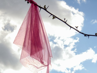 Close-up photography of a pink scarf tangled in a Bougainvillea twig against the sky, captured at a street of the colonial town of Villa de Leyva, in the Andean mountains of central Colombia.