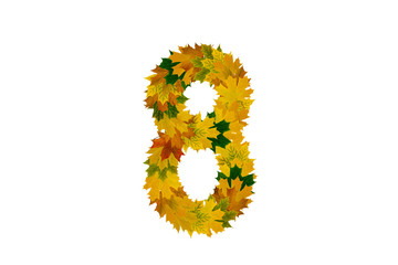 Digit 8 from autumn maple leaves isolated on white background. Alphabet from green, yellow and orange leaves