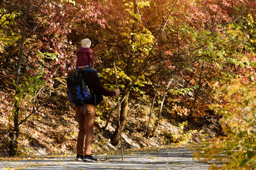 Father with son on his shoulders walking in the autumn park. Sunny day. Back view