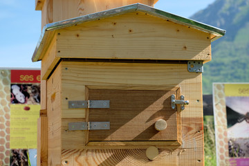 Ruche p&eacute;dagogique