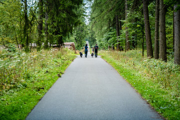 Fototapeta premium Wandern mit Hund