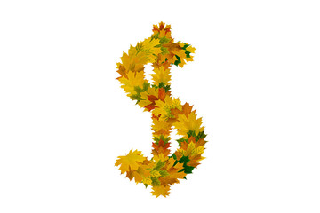 Dollar sign from green, yellow and orange autumn maple leaves isolated on white background