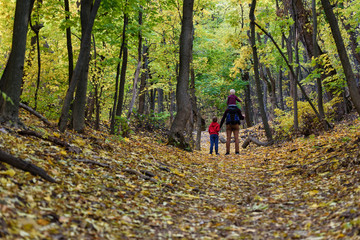 Obraz premium Father and two sons walking in the autumn forest. Younger son sitting on his father's shoulders. Back view