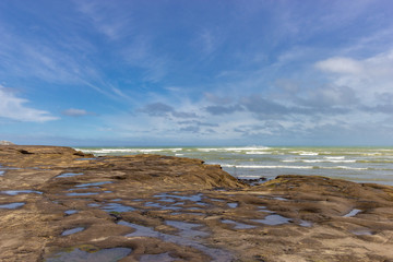view of Muriwai beach, north island, new zealand