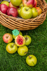 Apple harvest background, wicker basket on green grass, top view papercraft origami art with red berries