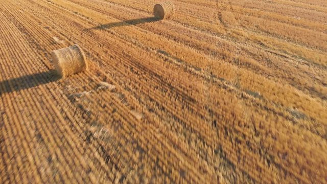 Drone video over a prairie wheat field that has been harvested and now has round bales of straw casting long shadows.  Drone is at a low height and moving fast across the direction of the rows.