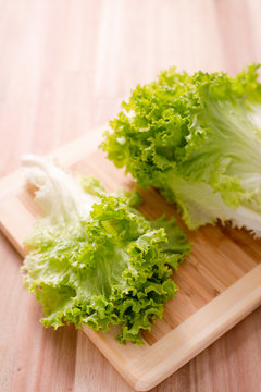 lechuga crespa para ensaladas y acompa&ntilde;amiento de platos