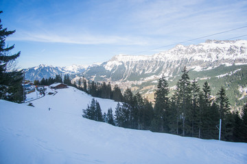 Walking between Murren (M&uuml;rren) village In Switzerland to the cable car station in a very beautiful path through an amazing snowy landscape of mountains and trees fully covered by snow. 