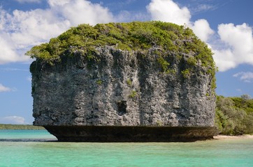 magnifique rocher sur l'ile des pins