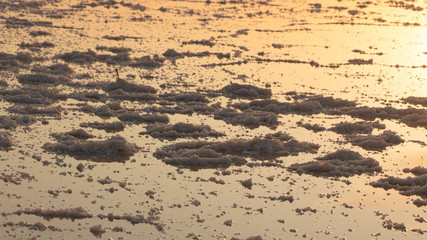 Evening, on the salt lake drone view