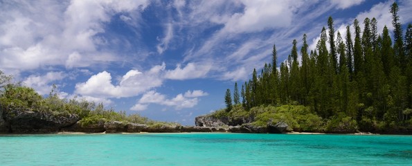 piscine naturelle lagon ile des pins