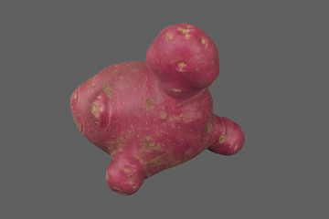 Violet red abnormal potato on the dark grey background - 291058113