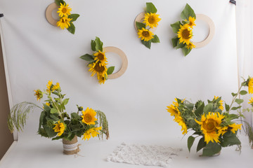 photo zone with sunflowers. yellow flowers sunflower
