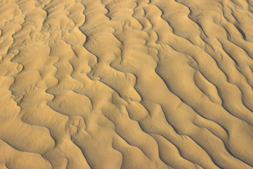 Amazingly fine particles of Sahara desert golden sand creating a seamless pattern of miniature dunes created by wind