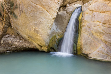 Beautiful, iconic, Sahara desert mountain oasis Chebika waterfall, palm tree, blue water, sunlit rocks and vivid golden moss