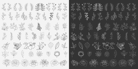 Hand Drawn Floral Elements Vector
