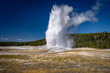 Old Faithful geyser in Yellowstone National Park, Wyoming, USA