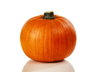 Real pumpkin on white background for Autumn Halloween holiday