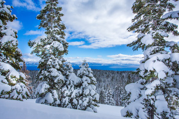 Tahoe Winters