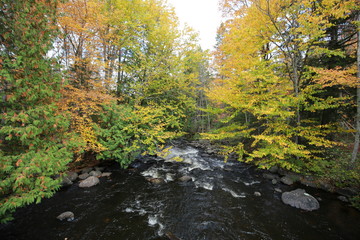 autumn in the park