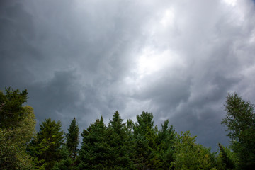 dark ominous storm clouds above trees