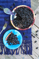 Purple Mulberry Pattern