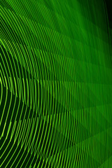abstract long exposure blurred light lines black and green background. Geometric shapes