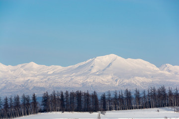 冬山の山頂と青空　大雪山