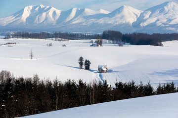 冬の畑作地帯と山並み　十勝岳連峰