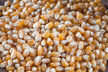 A pile of dry corn kernels on the wooden table.
