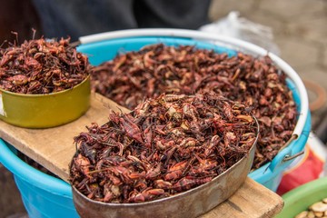 Street bowl of chapulines