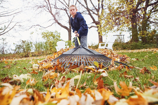 Boy raking leaves in a yard to earn money