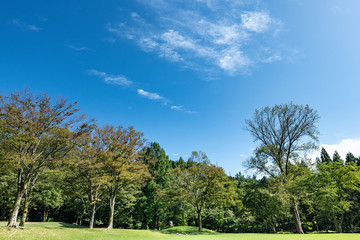 初秋の樹木公園風景