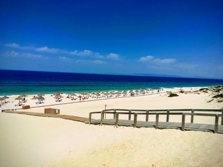 Fototapeta premium plaża i morze