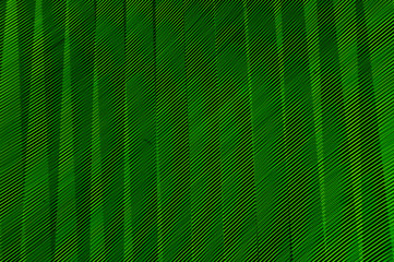 abstract long exposure blurred light lines black and green background. Geometric shapes