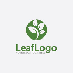 Green leaf icon eco logo vector design minimalist template element. Design Garden, Plant, Nature and Ecology vector logo.