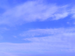 Fototapeta premium 早秋の青空とスジ雲