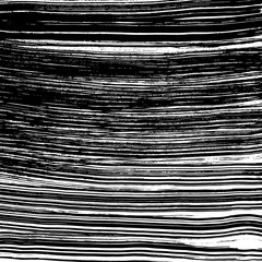 Brush texture pattern. Grunge vector.