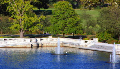 Obraz premium fountains at Forest Park in St. Louis