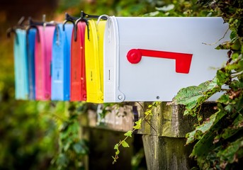 Close up of a row of colorful traditional american letterboxes surrounded by ivy, against a green bokeh background